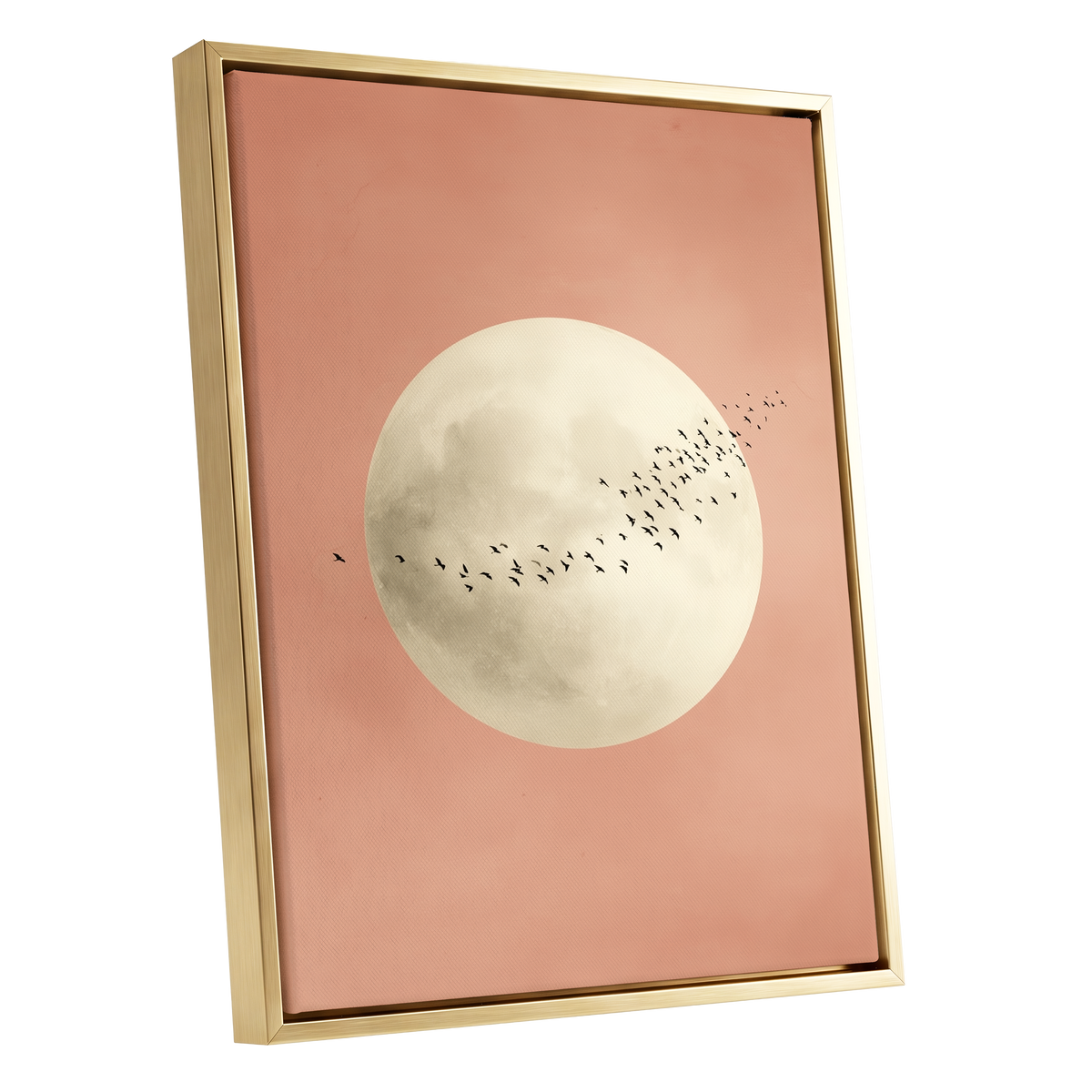 Rose Moon Migration, pink, white, black nature wall art shown as a gold framed canvas wall art