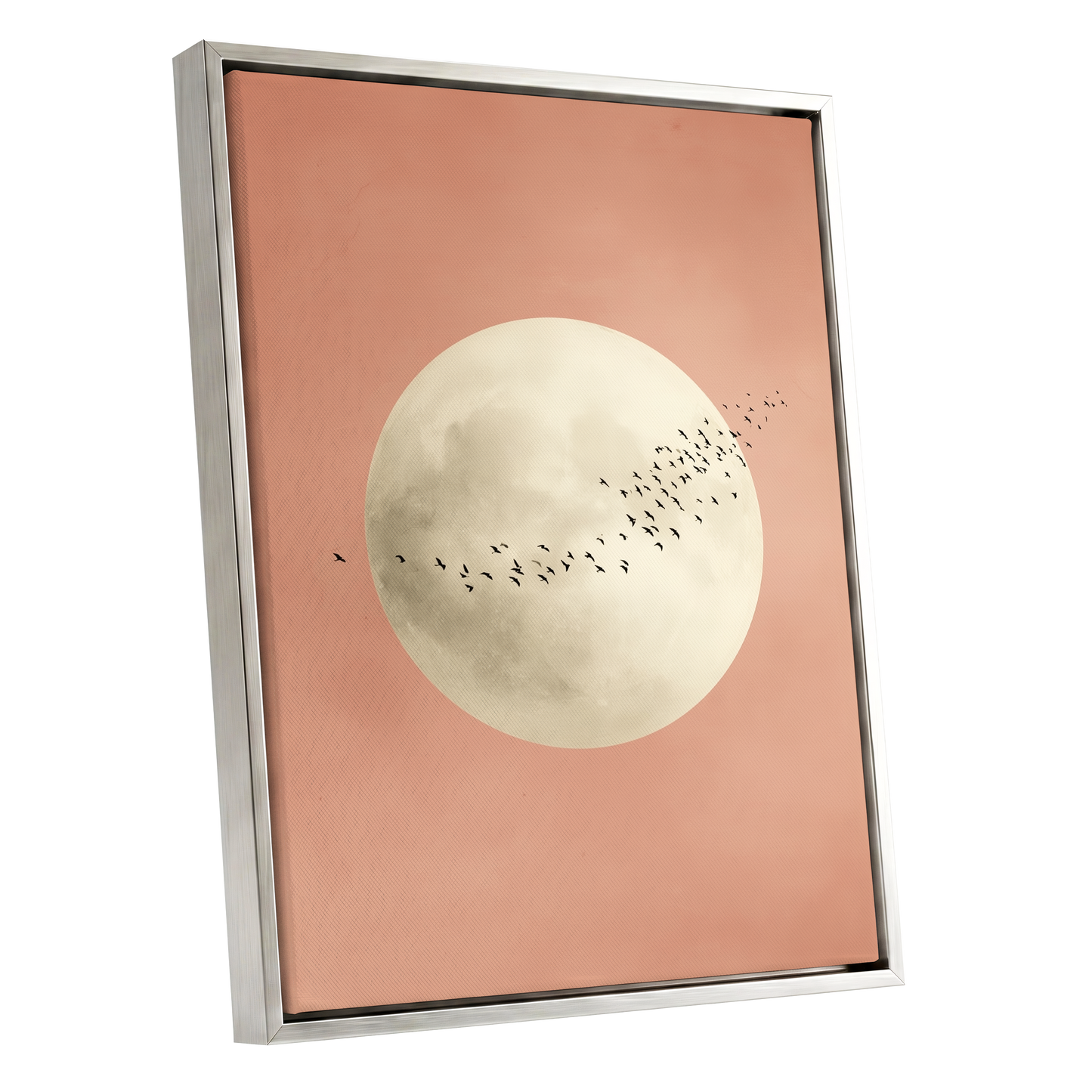 Rose Moon Migration, pink, white, black nature wall art shown as a silver framed canvas wall art