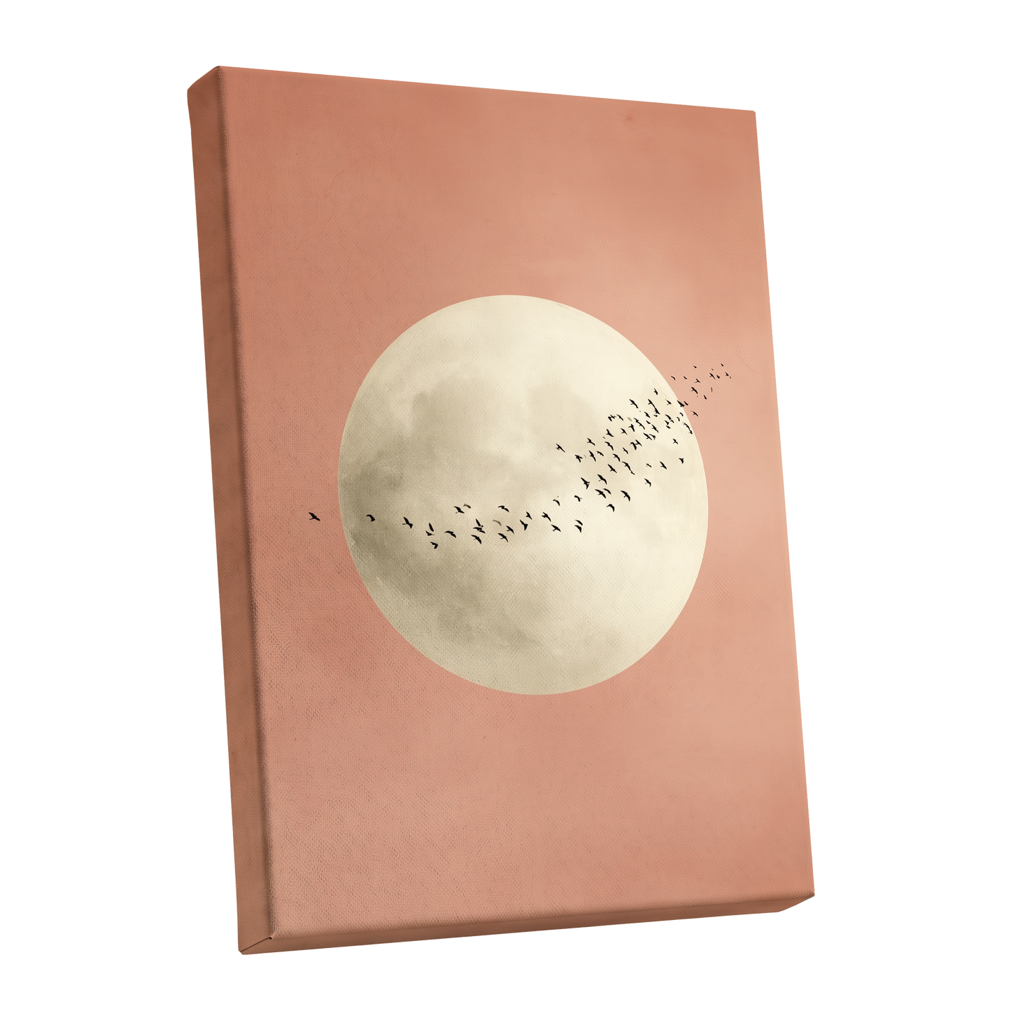 Rose Moon Migration, pink, white, black nature wall art shown as a stretched canvas wall art