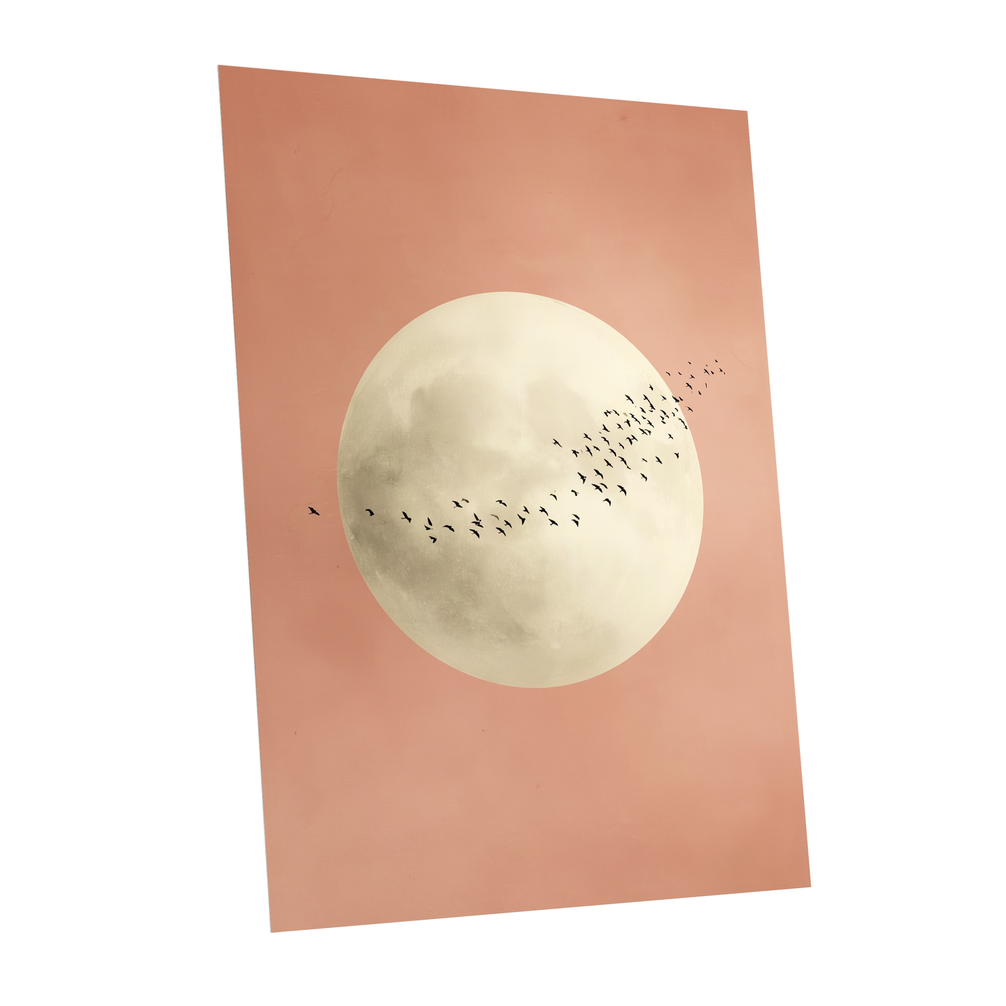 Rose Moon Migration, pink, white, black nature wall art shown as a unframed poster wall art print