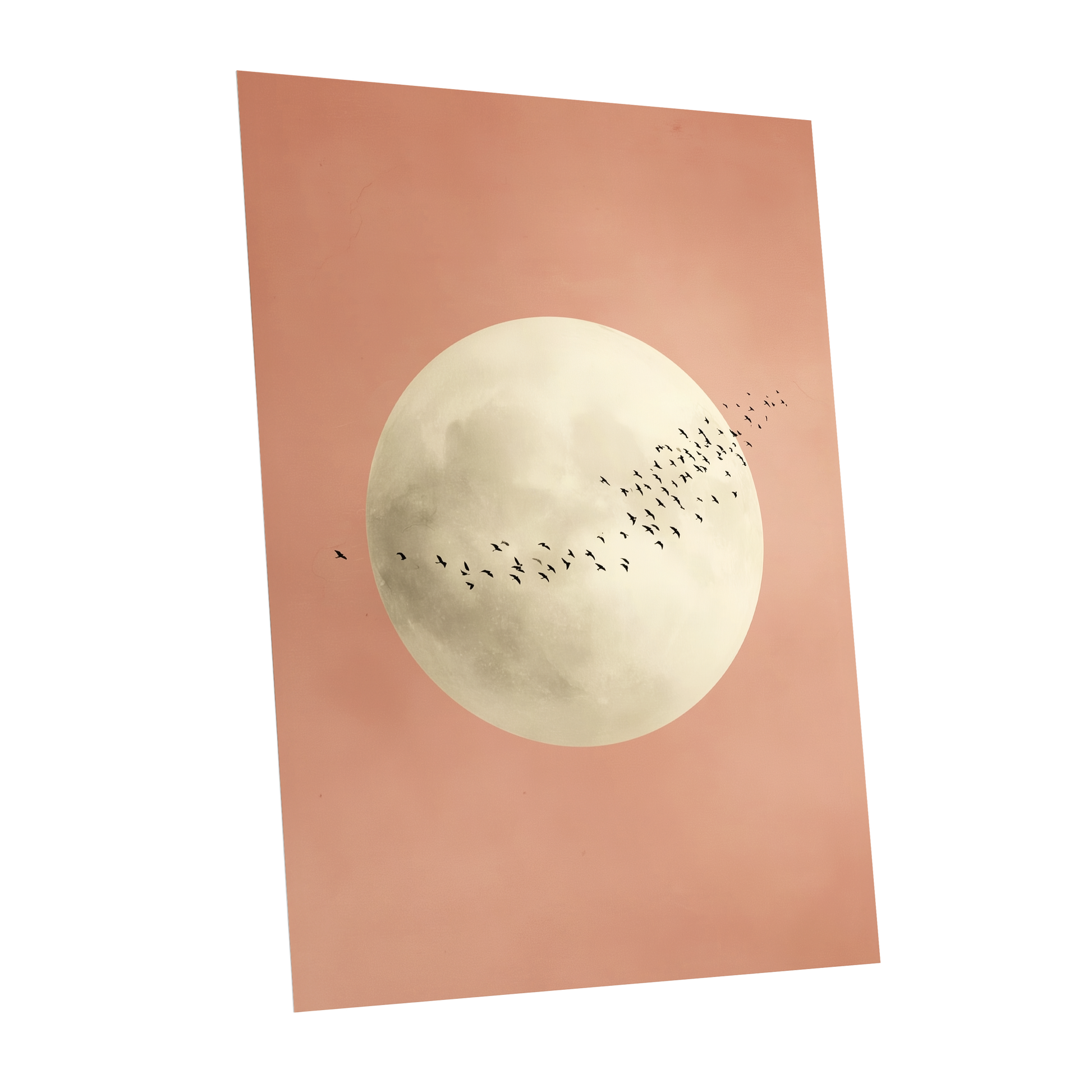 Rose Moon Migration, pink, white, black nature wall art shown as a unframed poster wall art print
