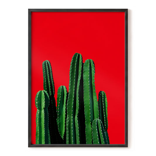 Scarlet Cactus, red, green, black nature wall art, front artwork view
