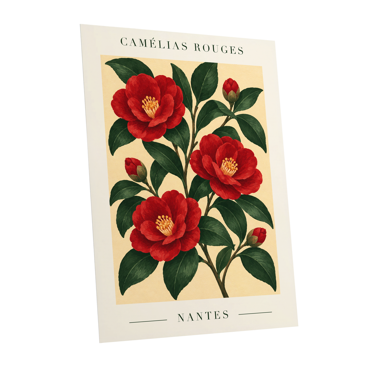 Scarlet Camellias, red, green, beige floral wall art shown as a unframed poster wall art print