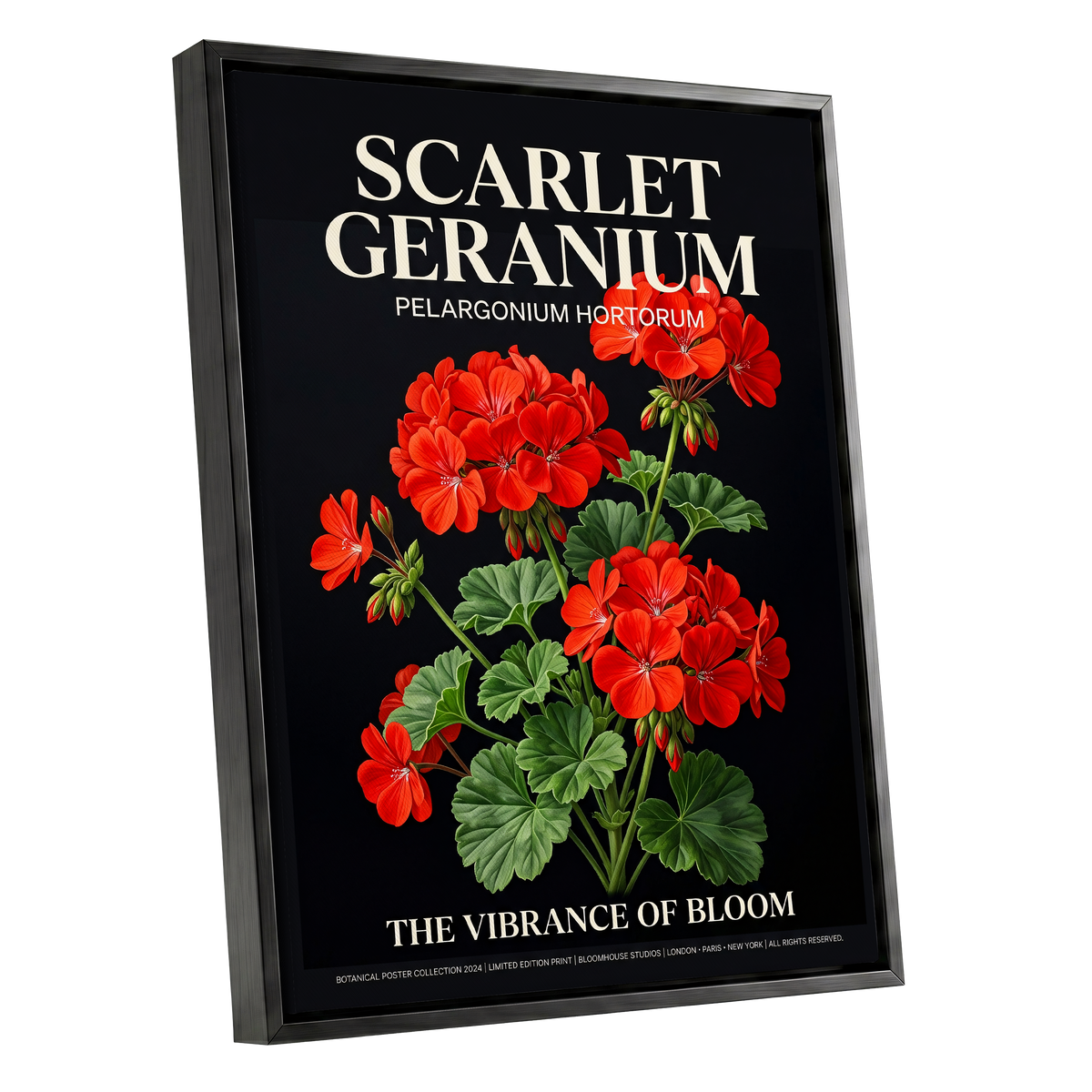 Scarlet Geranium Nocturne, black, green, red floral wall art shown as a black framed canvas wall art