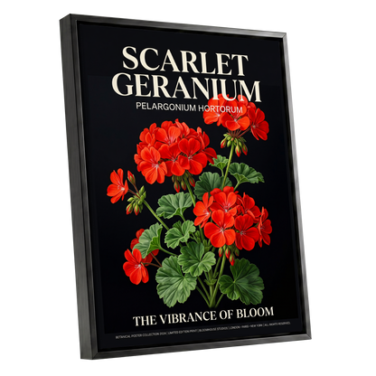 Scarlet Geranium Nocturne, black, green, red floral wall art shown as a black framed canvas wall art
