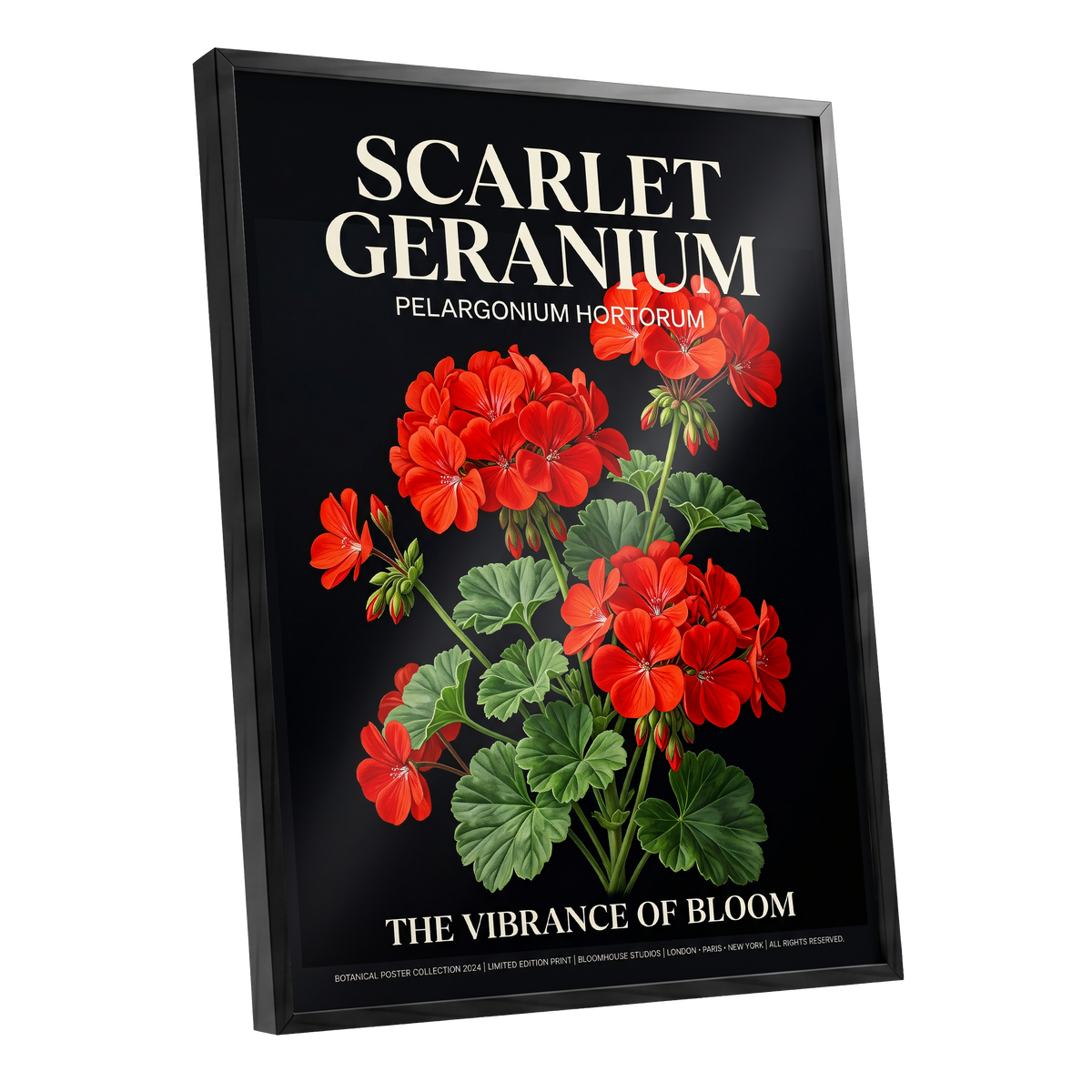Scarlet Geranium Nocturne, black, green, red floral wall art shown as a black framed poster wall art print