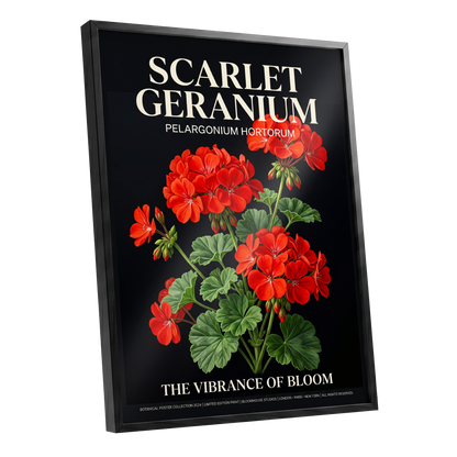 Scarlet Geranium Nocturne, black, green, red floral wall art shown as a black framed poster wall art print
