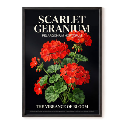 Scarlet Geranium Nocturne, black, green, red floral wall art, front artwork view