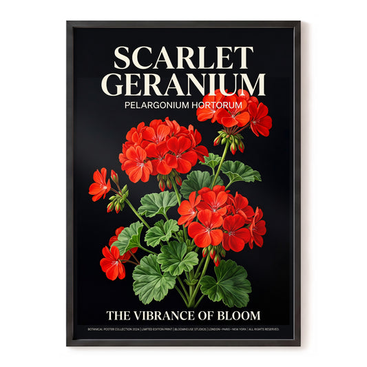 Scarlet Geranium Nocturne, black, green, red floral wall art, front artwork view