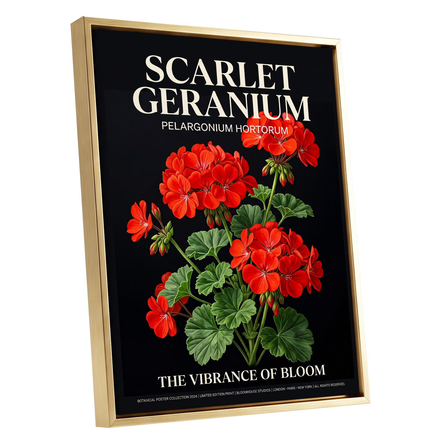 Scarlet Geranium Nocturne, black, green, red floral wall art shown as a gold framed canvas wall art