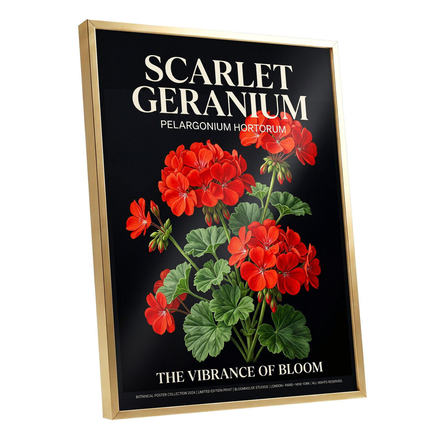 Scarlet Geranium Nocturne, black, green, red floral wall art shown as a gold framed poster wall art print