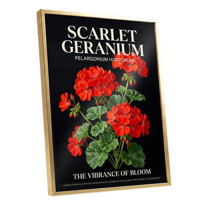 Scarlet Geranium Nocturne, black, green, red floral wall art shown as a gold framed poster wall art print