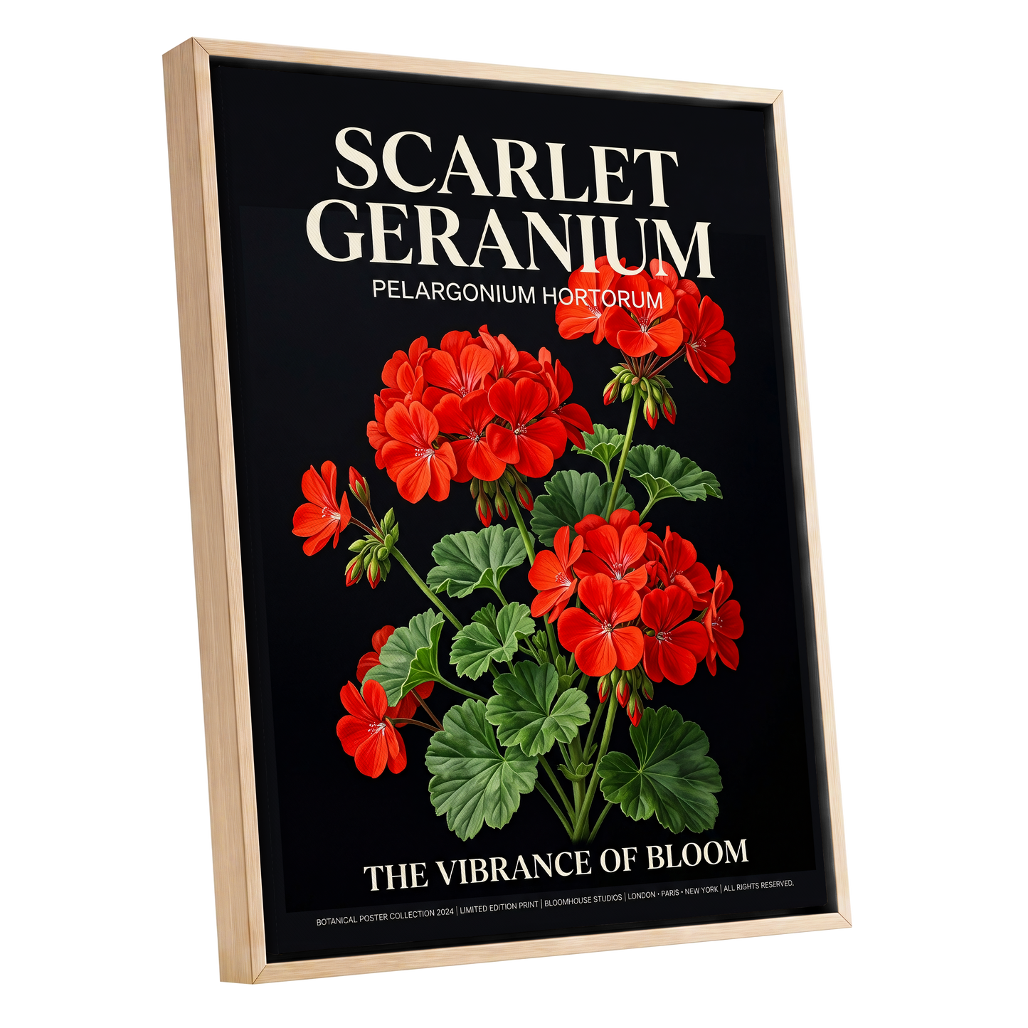 Scarlet Geranium Nocturne, black, green, red floral wall art shown as a oak framed canvas wall art