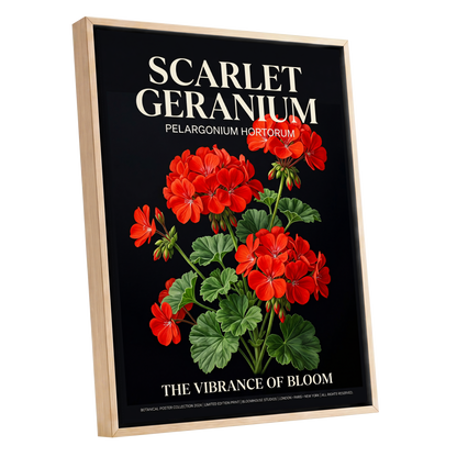 Scarlet Geranium Nocturne, black, green, red floral wall art shown as a oak framed canvas wall art