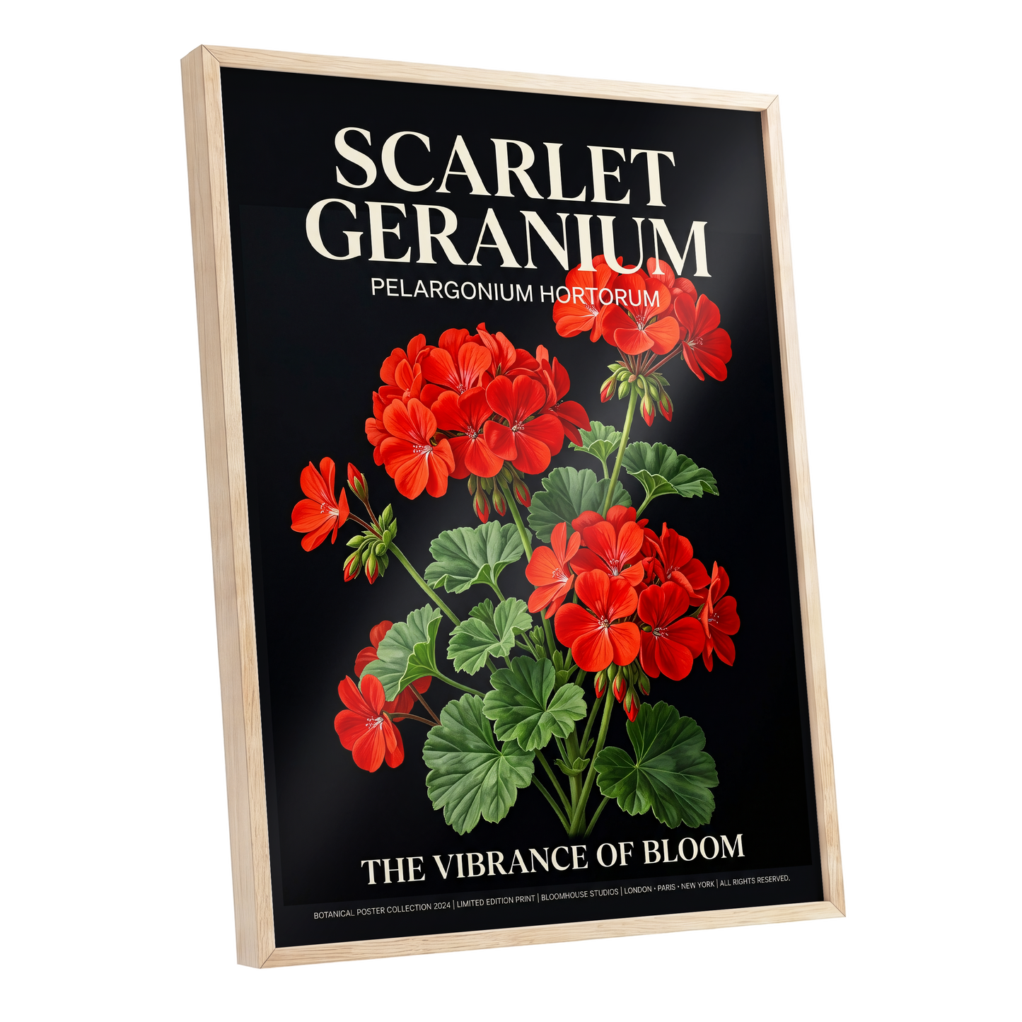 Scarlet Geranium Nocturne, black, green, red floral wall art shown as a oak framed poster wall art print
