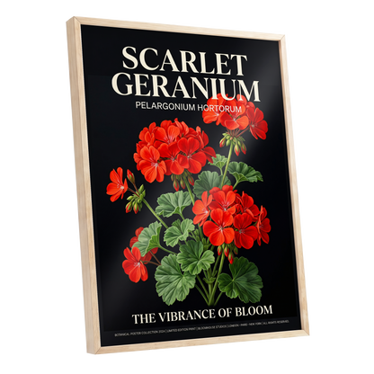 Scarlet Geranium Nocturne, black, green, red floral wall art shown as a oak framed poster wall art print