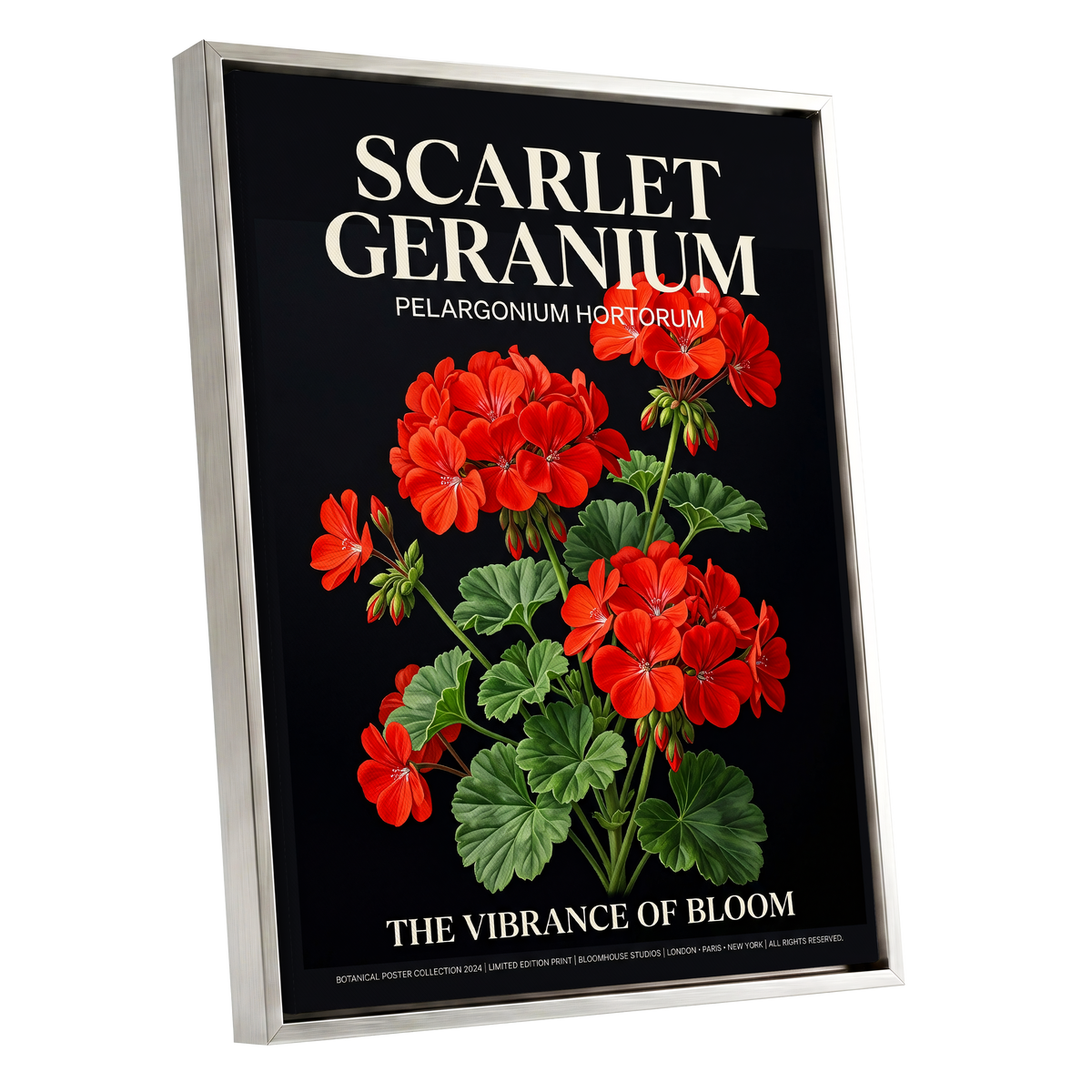 Scarlet Geranium Nocturne, black, green, red floral wall art shown as a silver framed canvas wall art