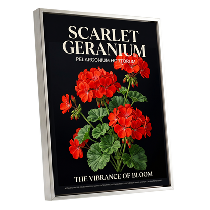 Scarlet Geranium Nocturne, black, green, red floral wall art shown as a silver framed canvas wall art