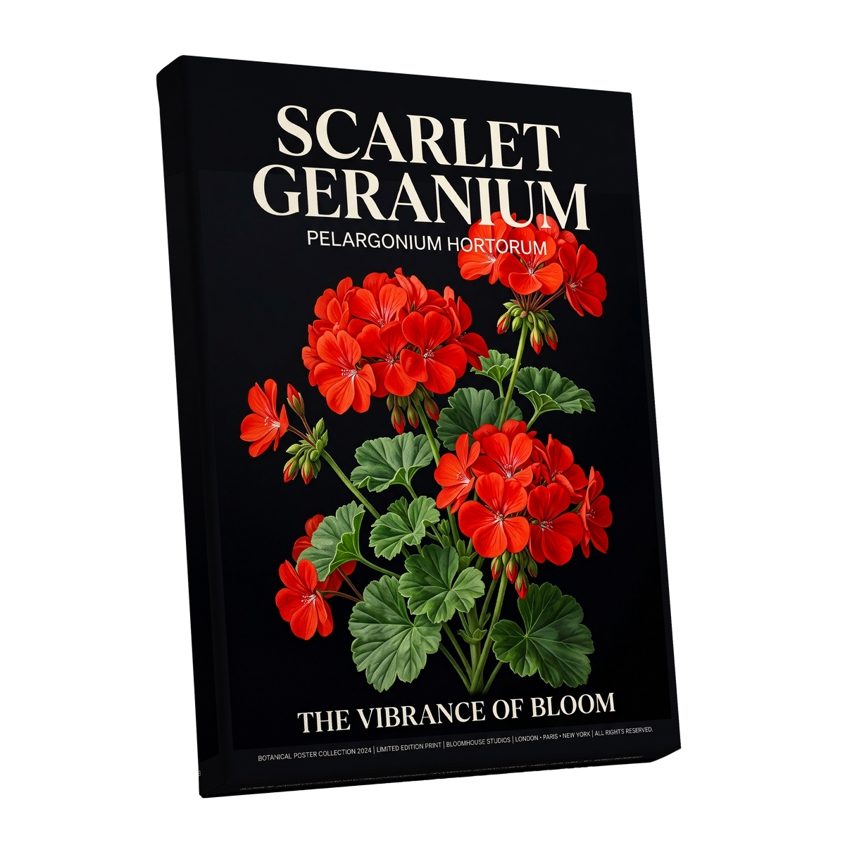 Scarlet Geranium Nocturne, black, green, red floral wall art shown as a stretched canvas wall art