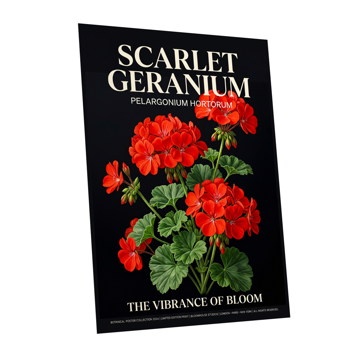Scarlet Geranium Nocturne, black, green, red floral wall art shown as a unframed poster wall art print