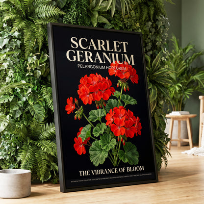 Scarlet Geranium Nocturne, black, green, red floral wall art displayed in a styled interior, gallery view 1