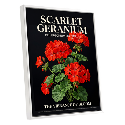 Scarlet Geranium Nocturne, black, green, red floral wall art shown as a white framed canvas wall art