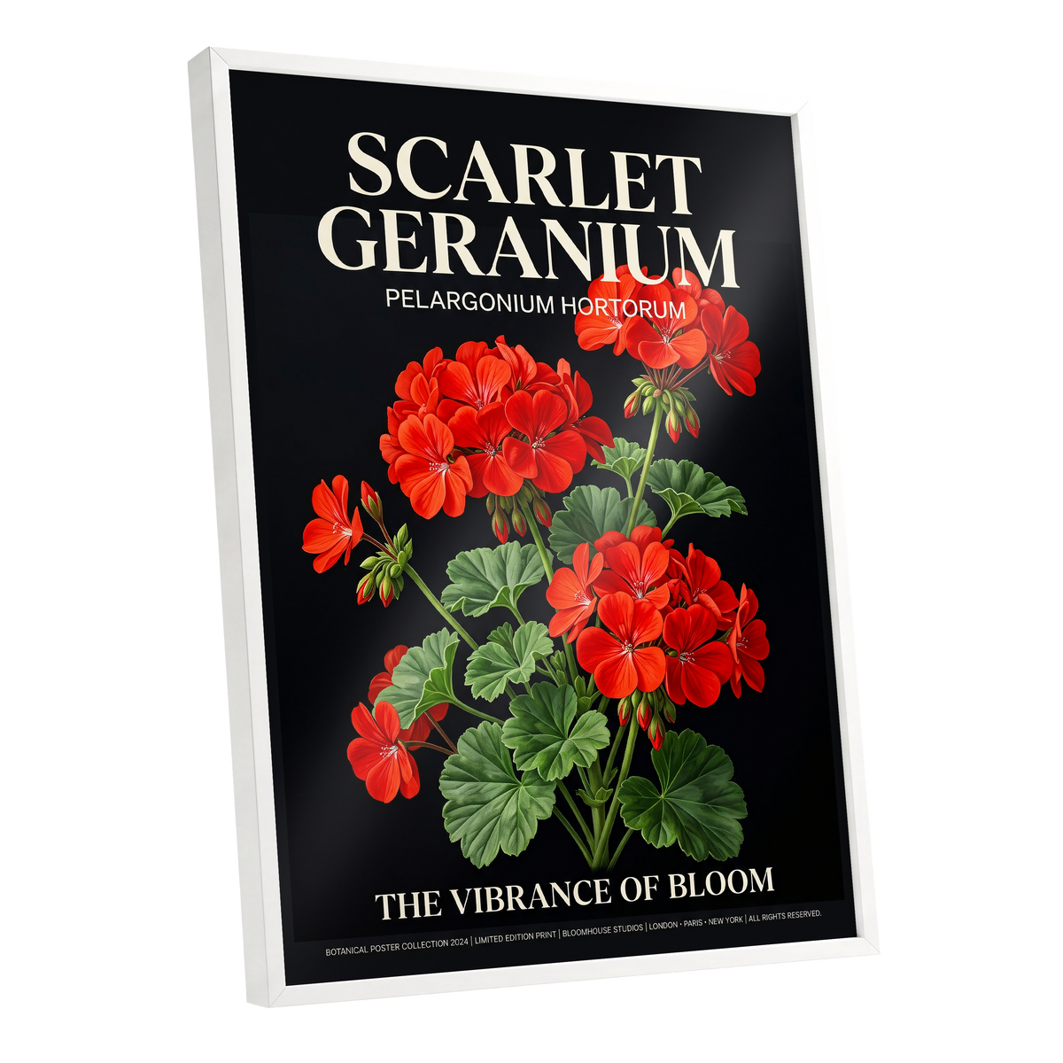 Scarlet Geranium Nocturne, black, green, red floral wall art shown as a white framed poster wall art print