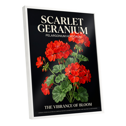 Scarlet Geranium Nocturne, black, green, red floral wall art shown as a white framed poster wall art print