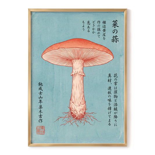 Scarlet Mushroom Study, blue, orange, beige nature wall art, front artwork view