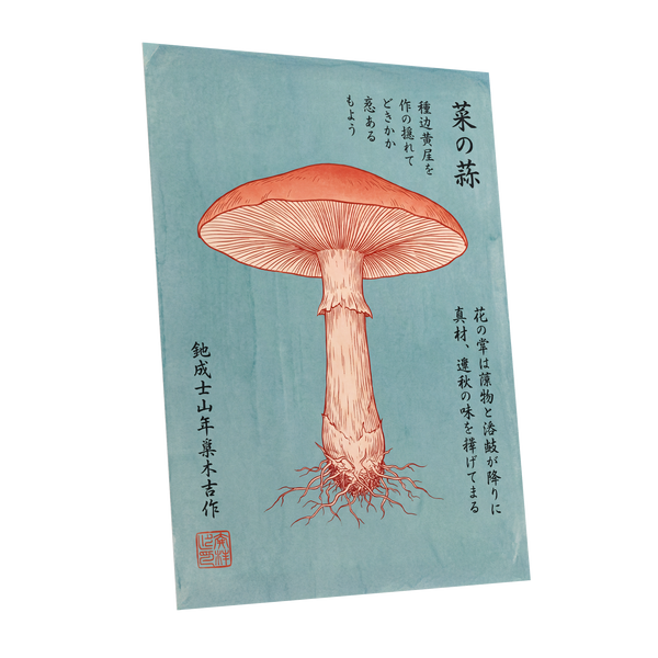 Scarlet Mushroom Study, blue, orange, beige nature wall art shown as a unframed poster wall art print