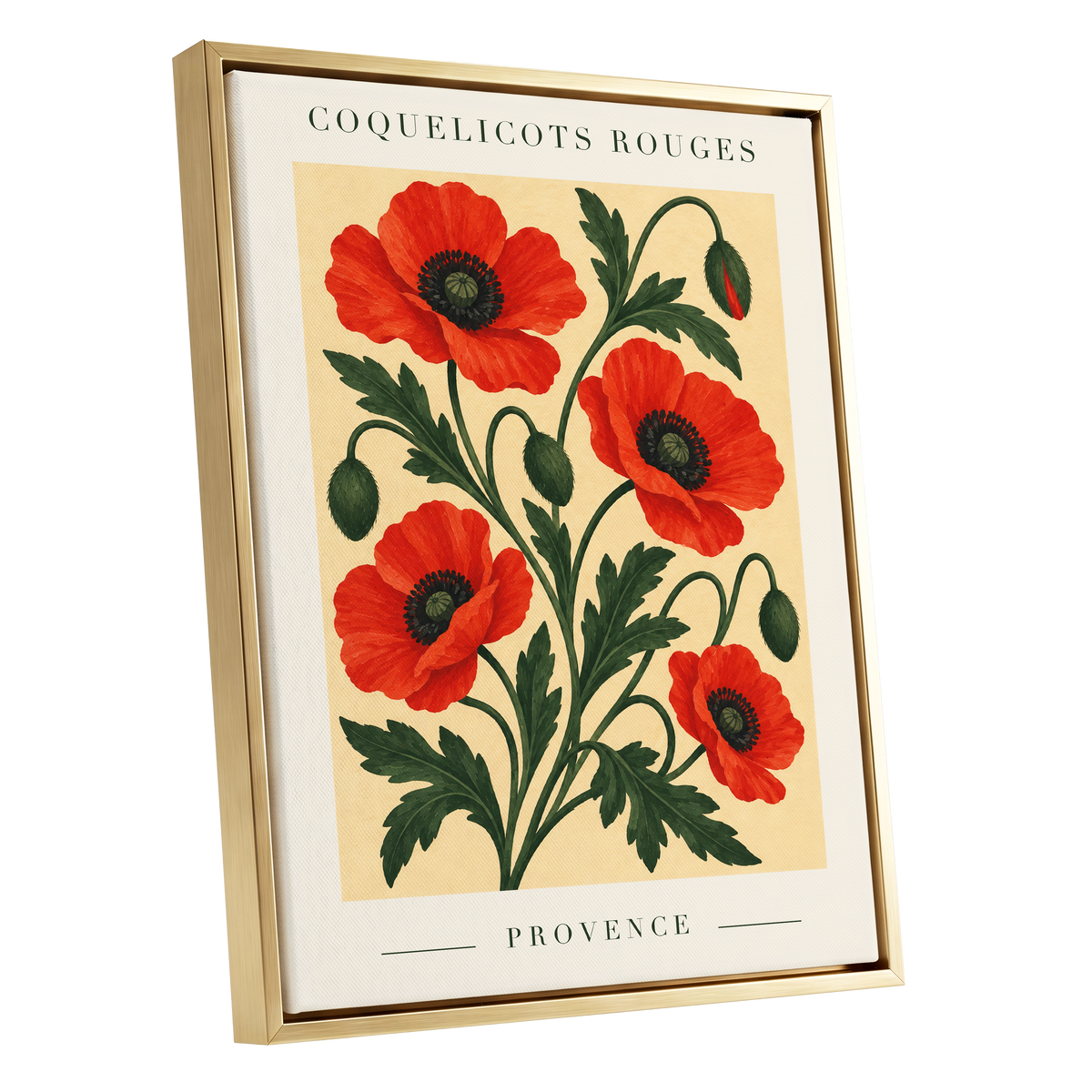 Scarlet Poppy Flourish, red, green, beige floral wall art shown as a gold framed canvas wall art