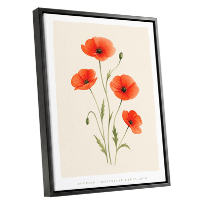 Scarlet Poppy Study, red, green, beige floral wall art shown as a black framed canvas wall art