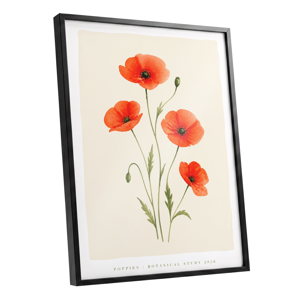Scarlet Poppy Study, red, green, beige floral wall art shown as a black framed poster wall art print