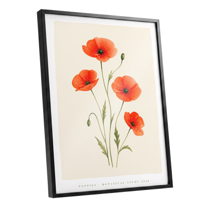 Scarlet Poppy Study, red, green, beige floral wall art shown as a black framed poster wall art print