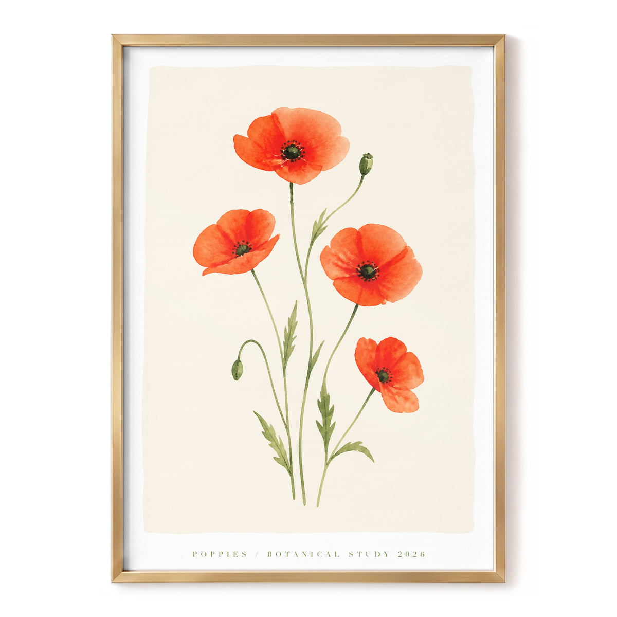 Scarlet Poppy Study, red, green, beige floral wall art, front artwork view