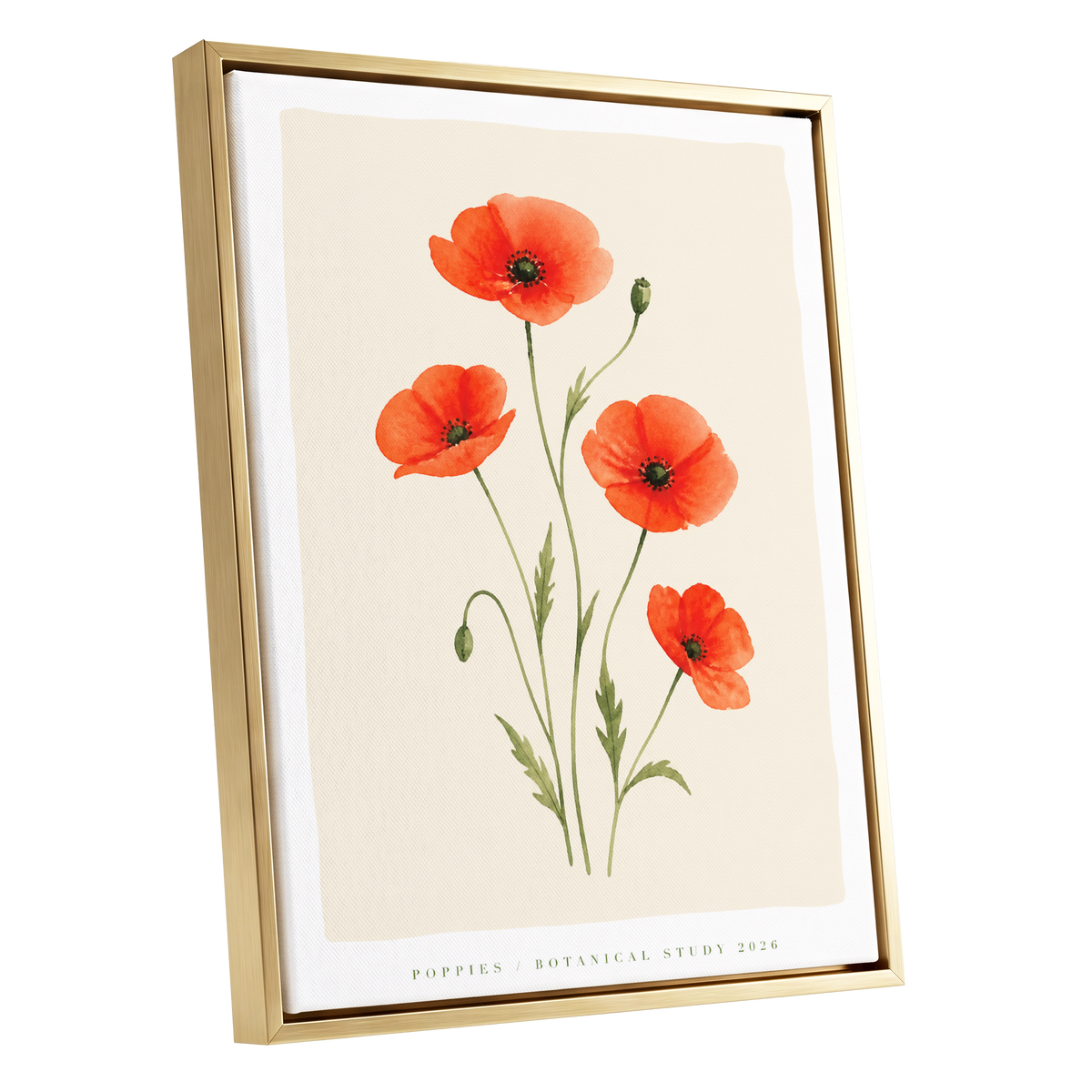 Scarlet Poppy Study, red, green, beige floral wall art shown as a gold framed canvas wall art