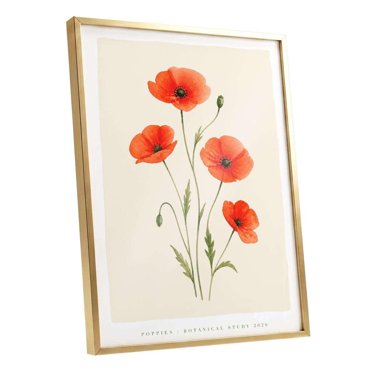 Scarlet Poppy Study, red, green, beige floral wall art shown as a gold framed poster wall art print
