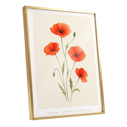 Scarlet Poppy Study, red, green, beige floral wall art shown as a gold framed poster wall art print