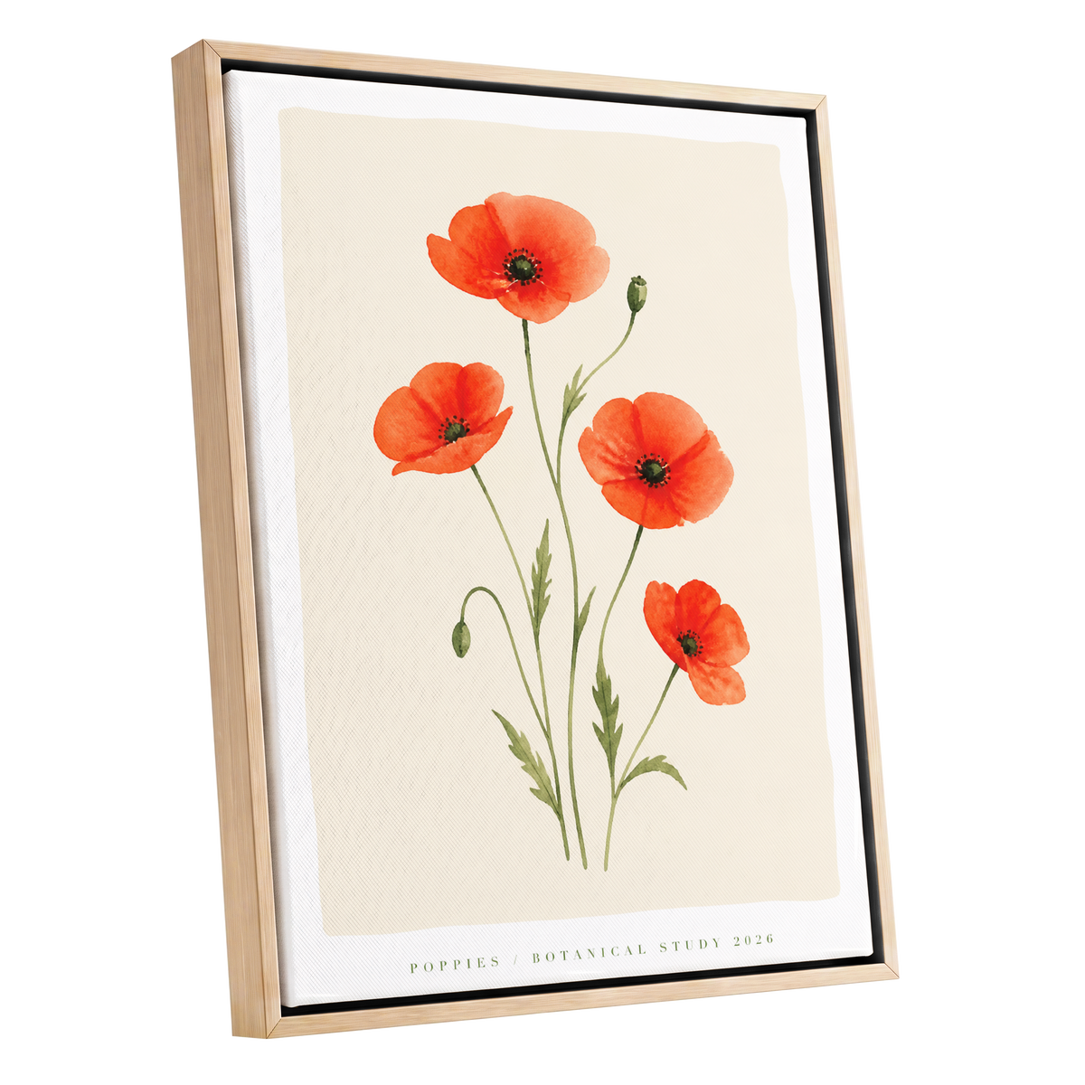 Scarlet Poppy Study, red, green, beige floral wall art shown as a oak framed canvas wall art