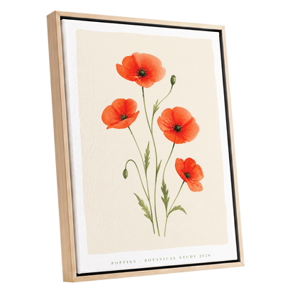 Scarlet Poppy Study, red, green, beige floral wall art shown as a oak framed canvas wall art