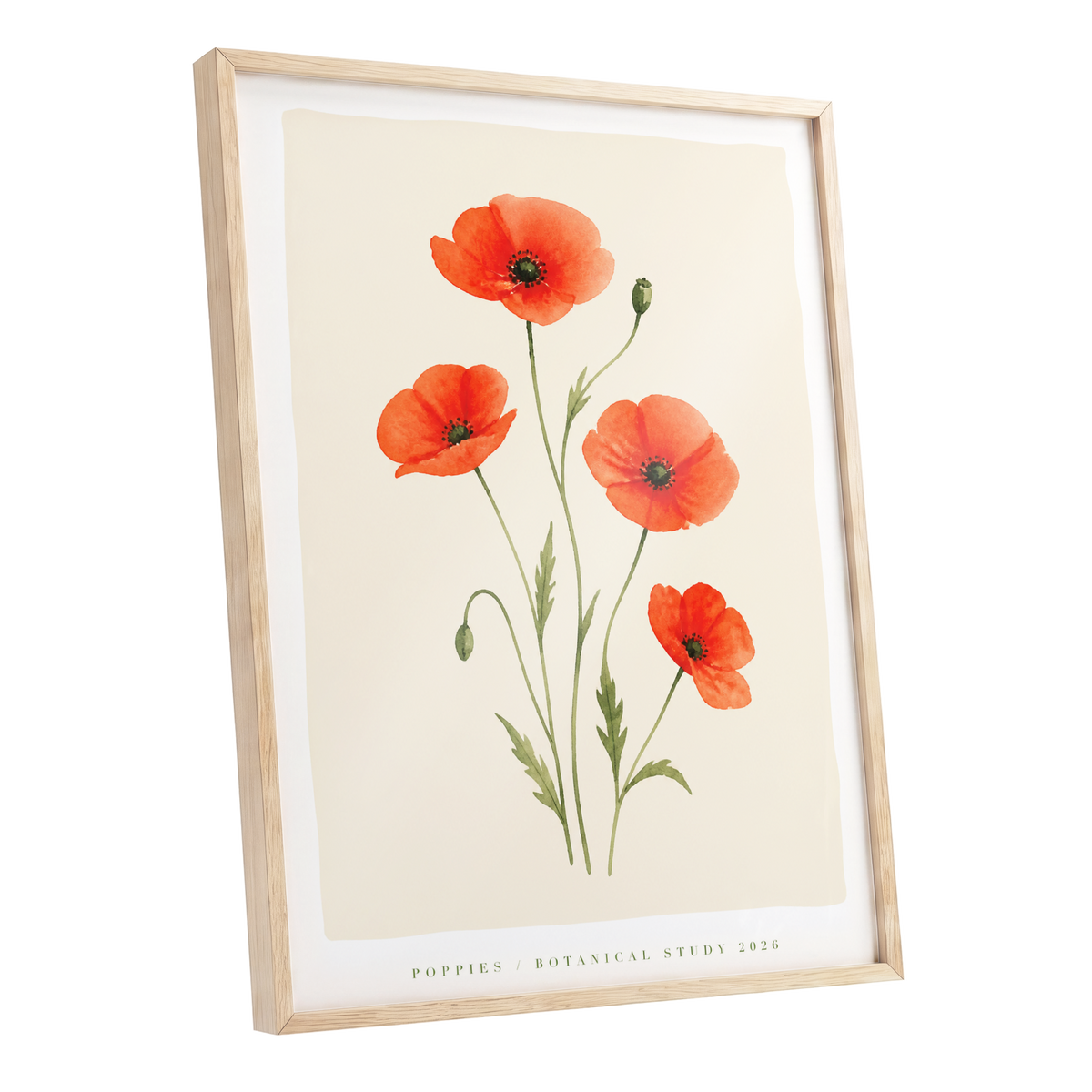 Scarlet Poppy Study, red, green, beige floral wall art shown as a oak framed poster wall art print