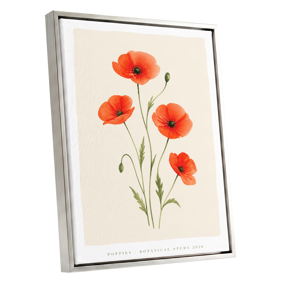 Scarlet Poppy Study, red, green, beige floral wall art shown as a silver framed canvas wall art