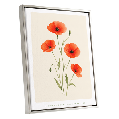 Scarlet Poppy Study, red, green, beige floral wall art shown as a silver framed canvas wall art