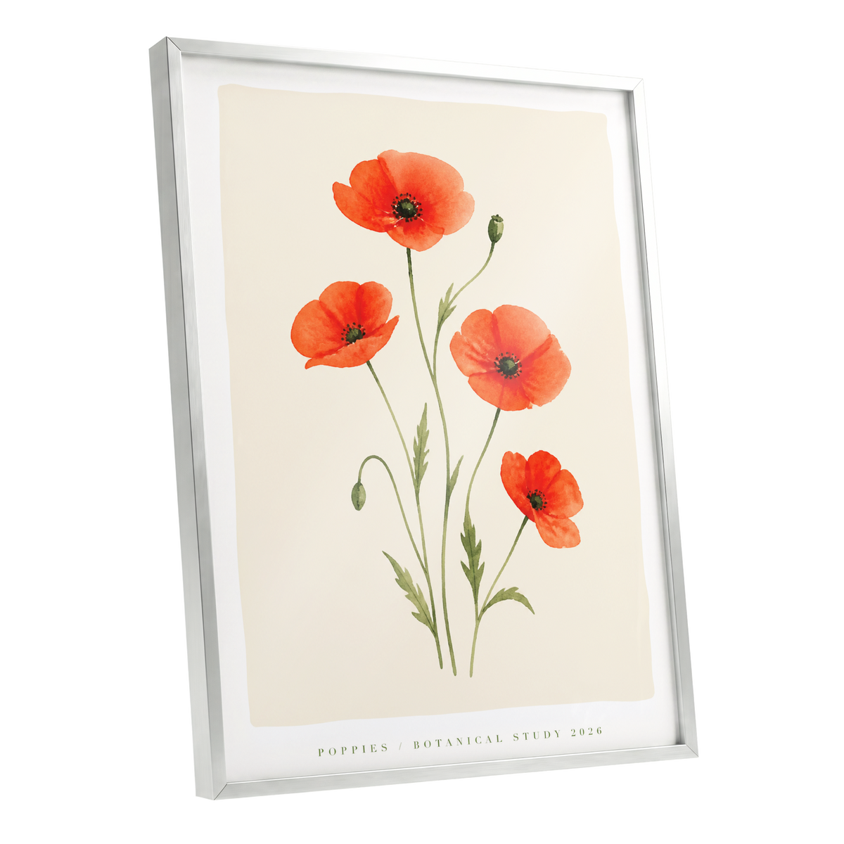Scarlet Poppy Study, red, green, beige floral wall art shown as a silver framed poster wall art print