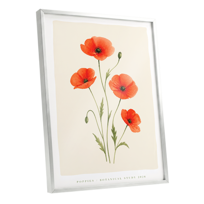 Scarlet Poppy Study, red, green, beige floral wall art shown as a silver framed poster wall art print