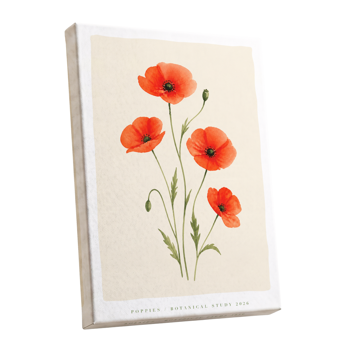 Scarlet Poppy Study, red, green, beige floral wall art shown as a stretched canvas wall art