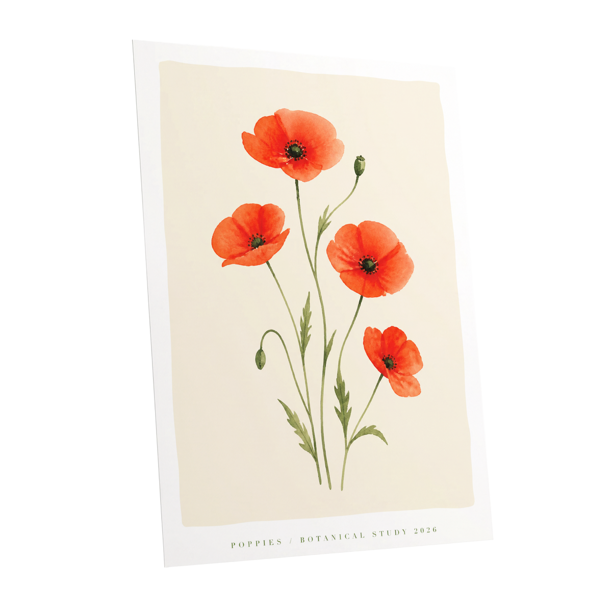 Scarlet Poppy Study, red, green, beige floral wall art shown as a unframed poster wall art print