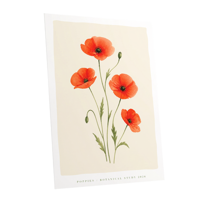 Scarlet Poppy Study, red, green, beige floral wall art shown as a unframed poster wall art print