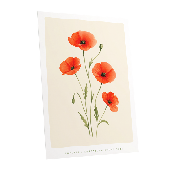 Scarlet Poppy Study, red, green, beige floral wall art shown as a unframed poster wall art print
