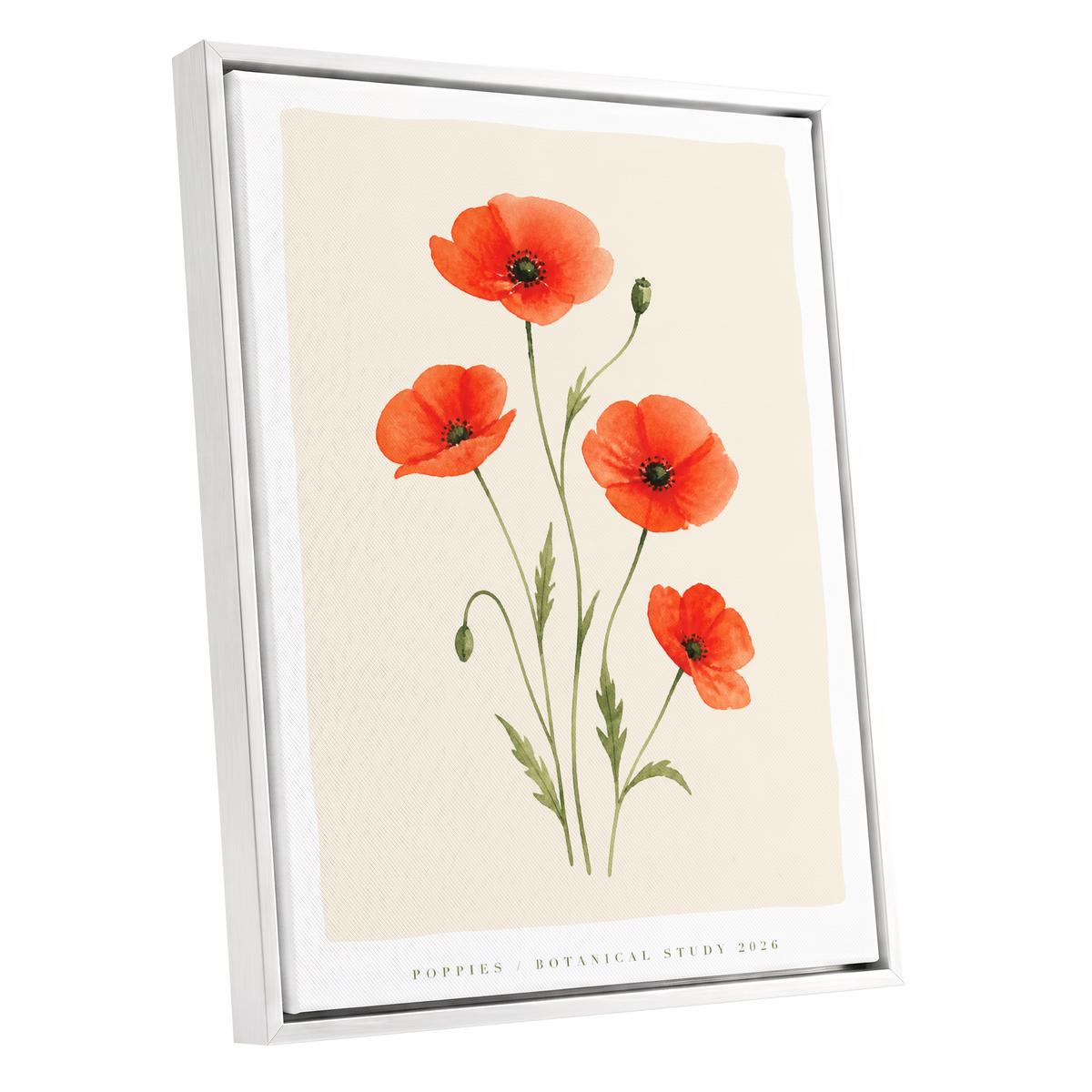 Scarlet Poppy Study, red, green, beige floral wall art shown as a white framed canvas wall art